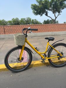 Lima Street Art Bike Tour